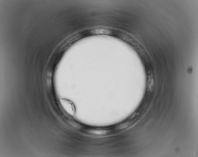 X0000116840263201001291710