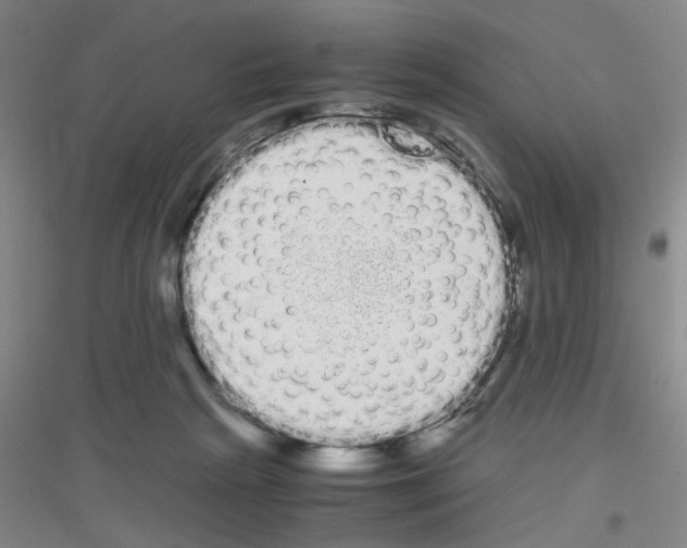 X0000116840265201001291711