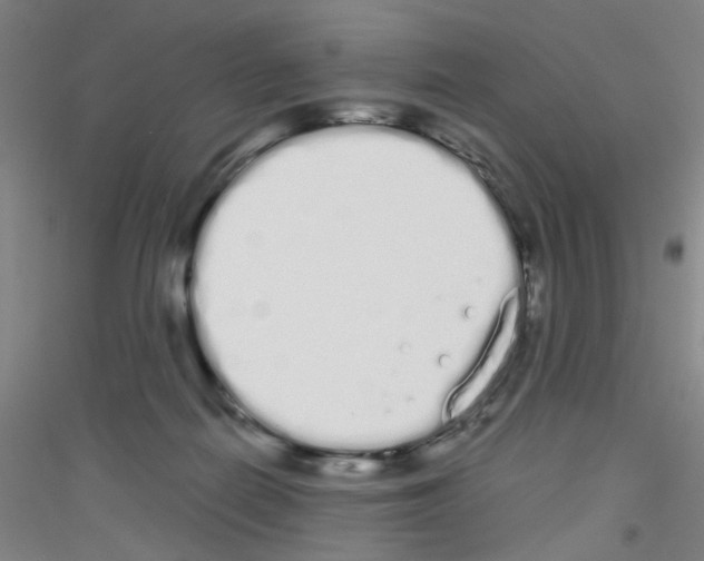 X0000116840266201001291711