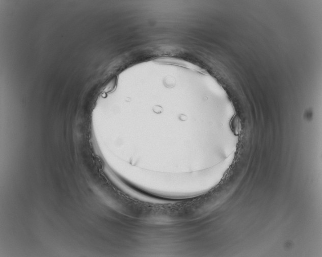 X0000116840268201001291711
