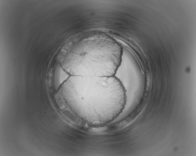 X0000116840269201001291711