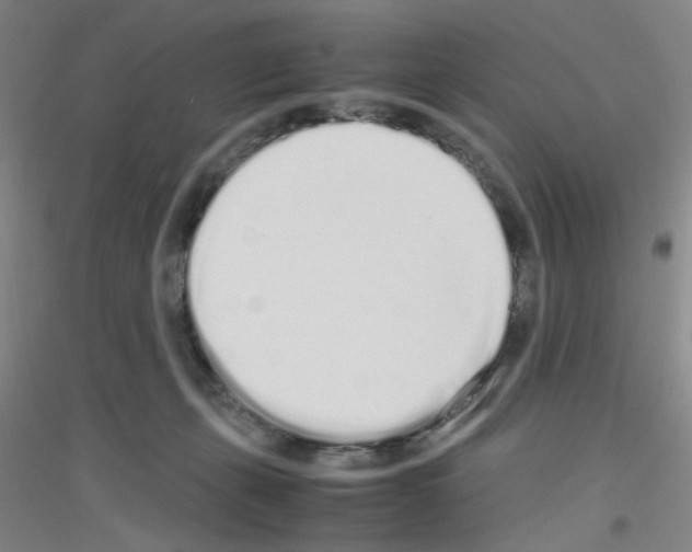 X0000116840271201001291711