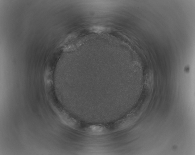 X0000116840272201001291711