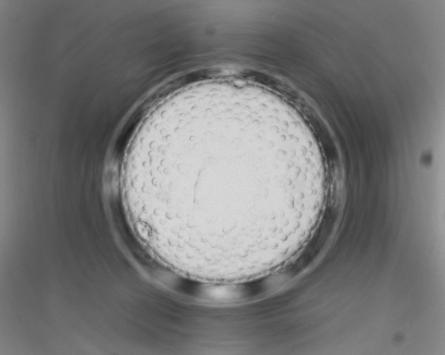 X0000116840274201001291711