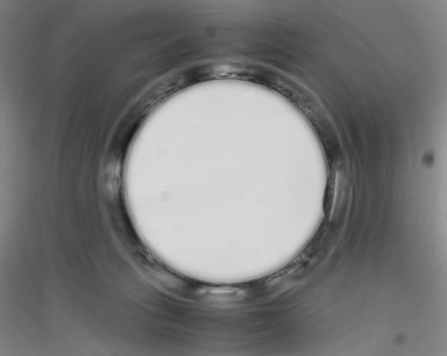 X0000116840275201001291711