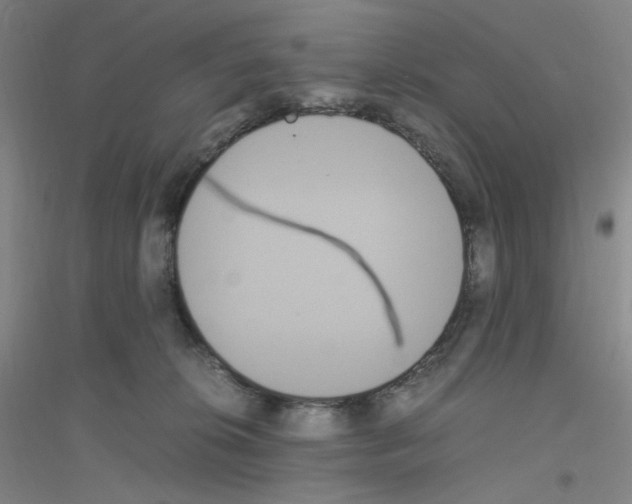 X0000116840276201001291711