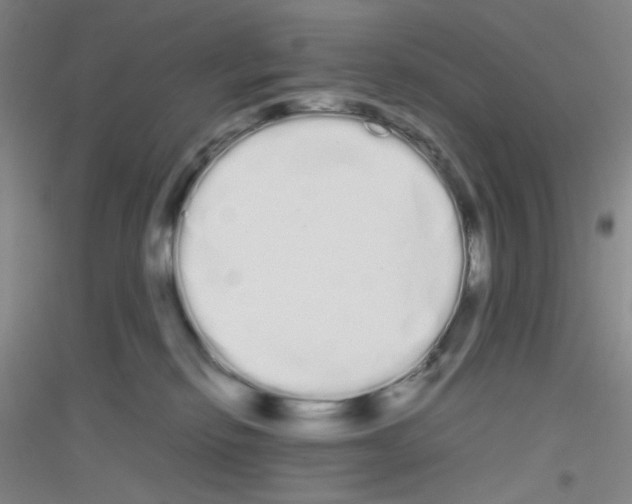 X0000116840278201001291711