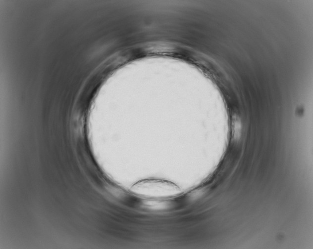 X0000116840279201001291711
