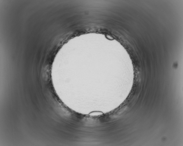 X0000116840280201001291711