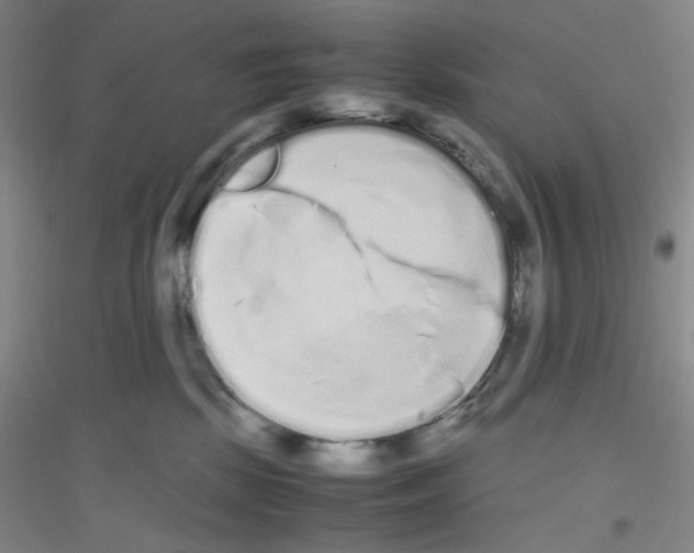 X0000116840281201001291711