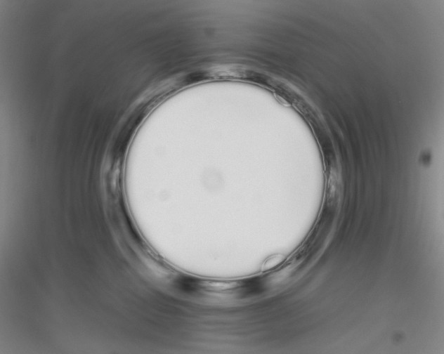X0000116840282201001291711