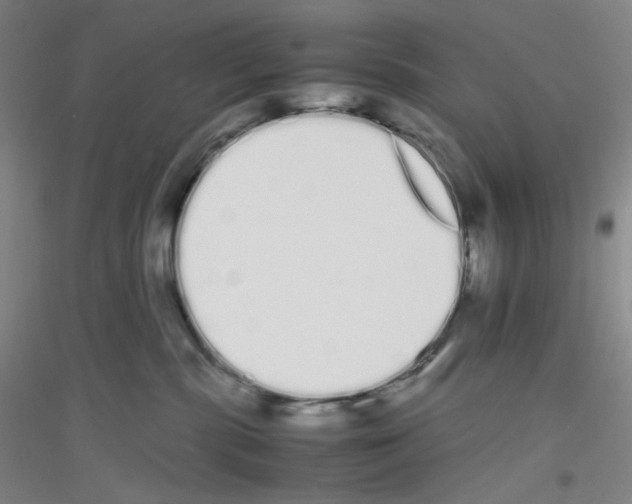 X0000116840283201001291711