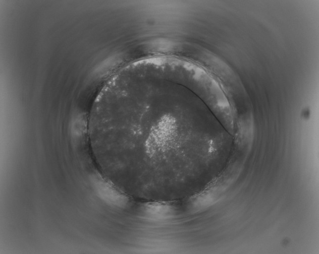 X0000116840284201001291711