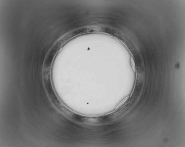 X0000116840285201001291711