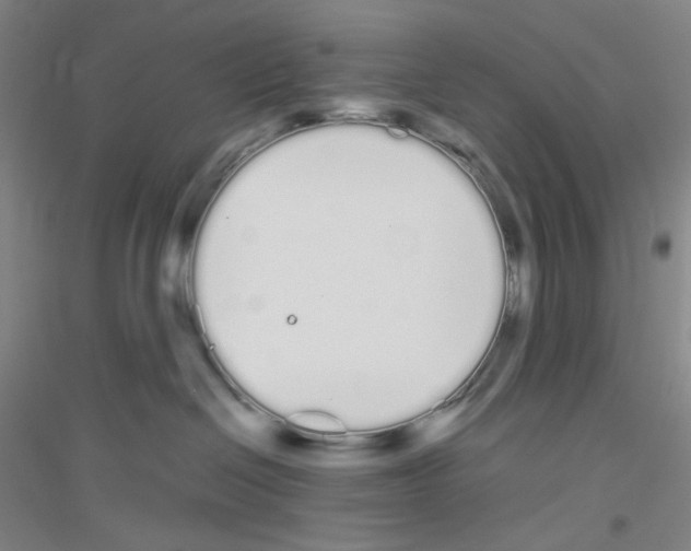 X0000116840286201001291711