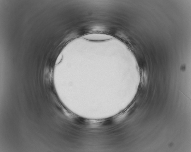 X0000116840287201001291711
