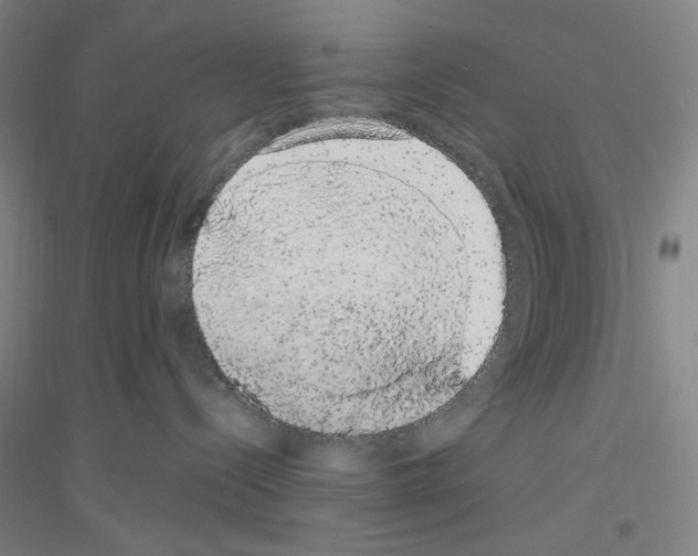 X0000116840288201001291711