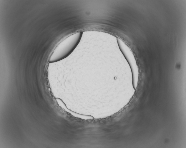 X0000116840289201001291710