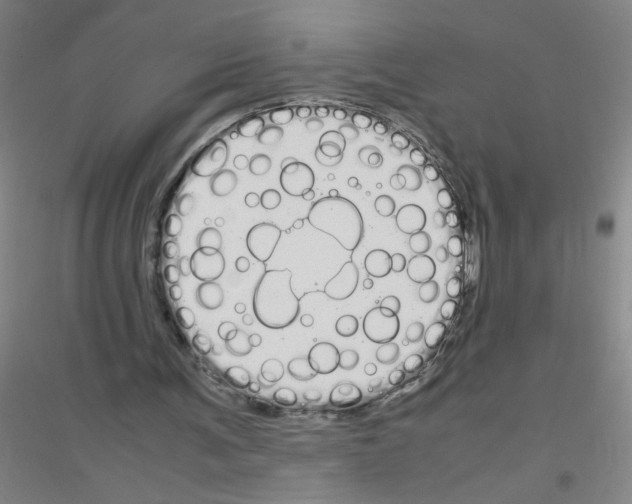 X0000116840291201001291710
