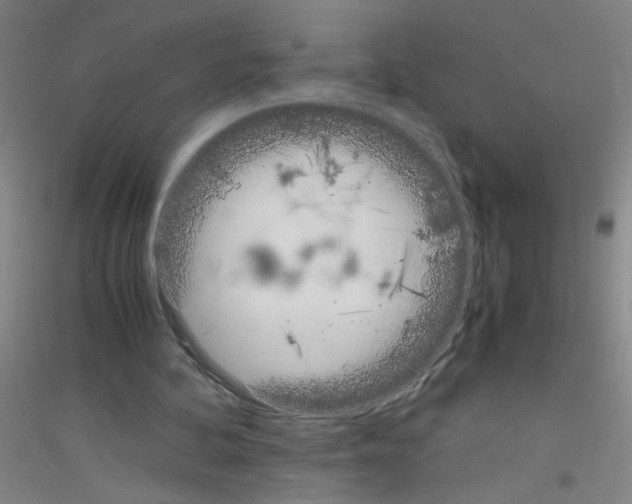 X0000116840292201001291710