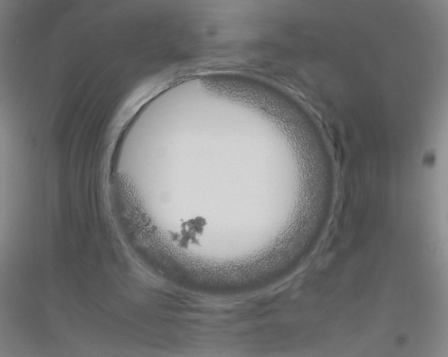 X0000116840293201001291710