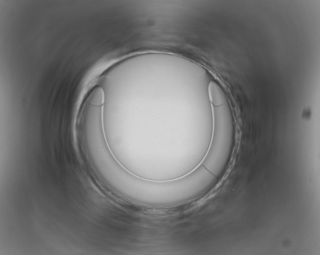 X0000116840294201001291710