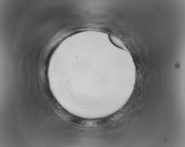 X0000116840295201001291710