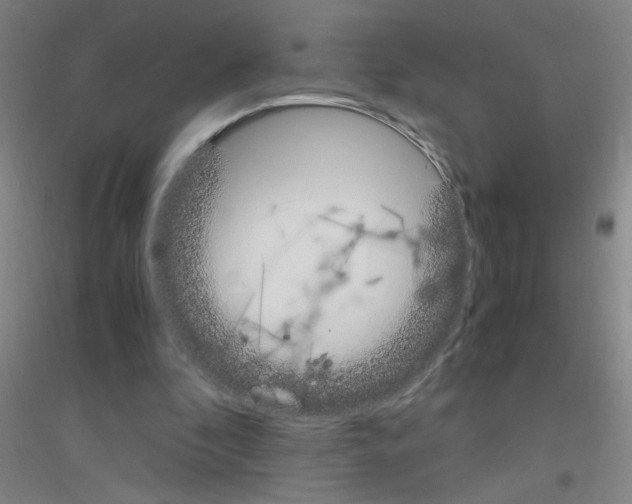 X0000116840296201001291710