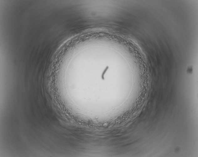 X0000116840297201001291710