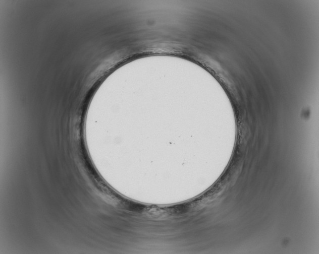 X0000116840299201001291710