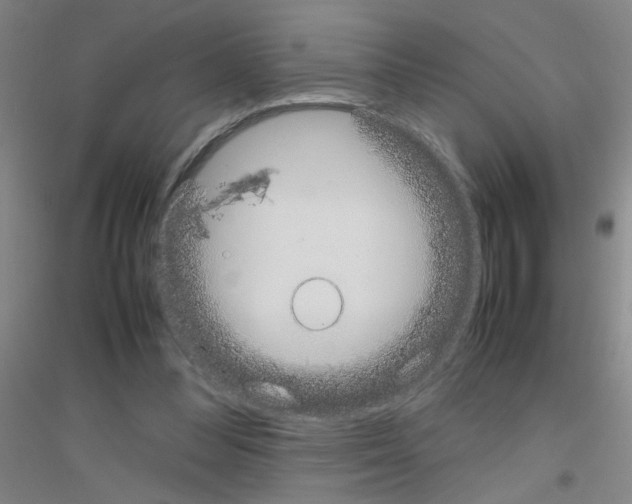 X0000116840300201001291710