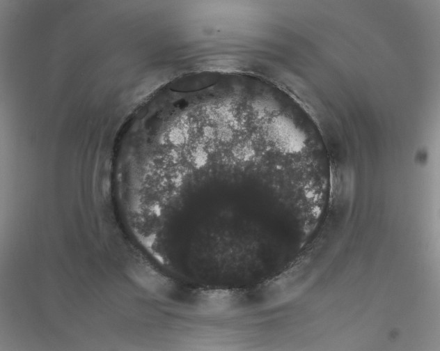 X0000116840301201001291710