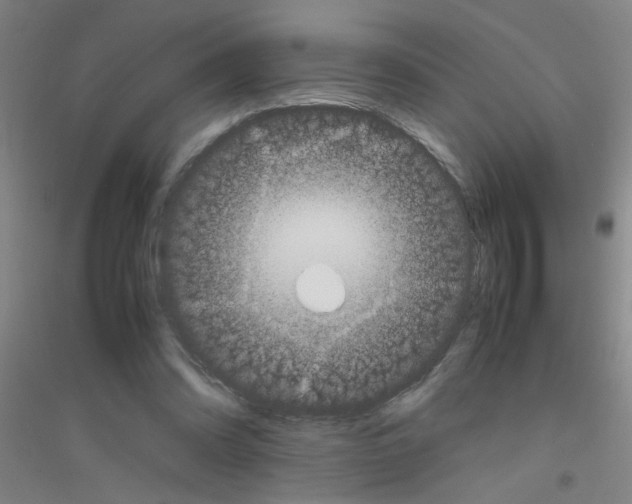 X0000116840302201001291710