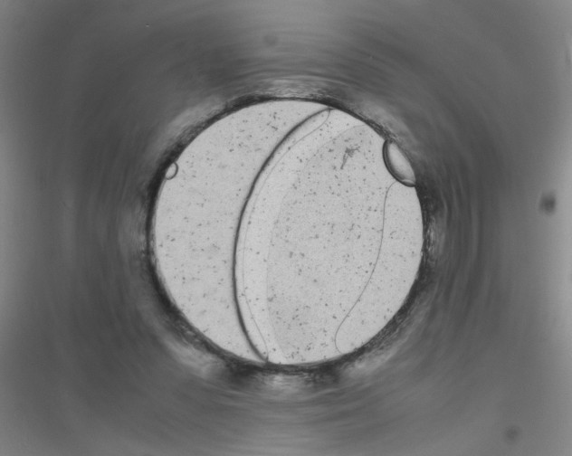 X0000116840303201001291710