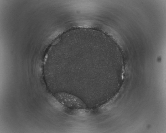 X0000116840305201001291710