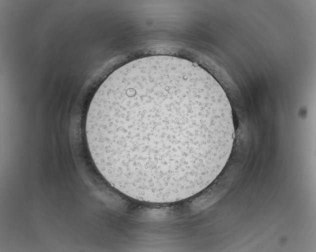 X0000116840306201001291710