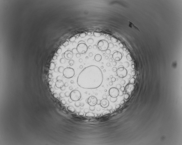 X0000116840307201001291710