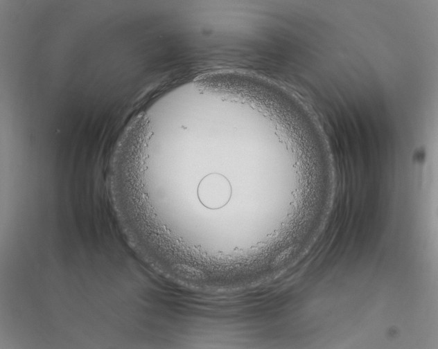 X0000116840308201001291710