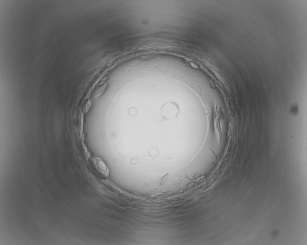 X0000116840309201001291710