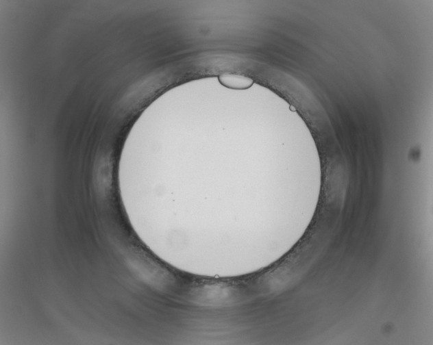 X0000116840310201001291710
