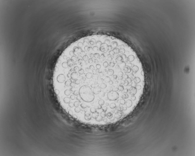 X0000116840311201001291710