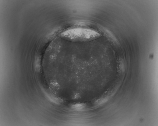 X0000116840312201001291710