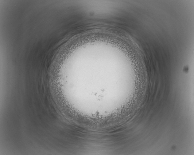 X0000116840313201001291710