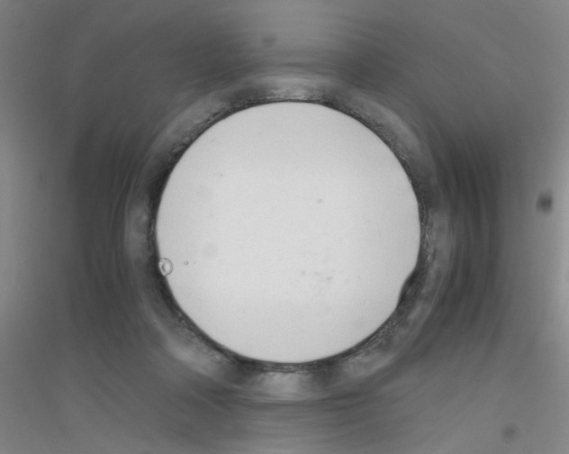X0000116840314201001291710