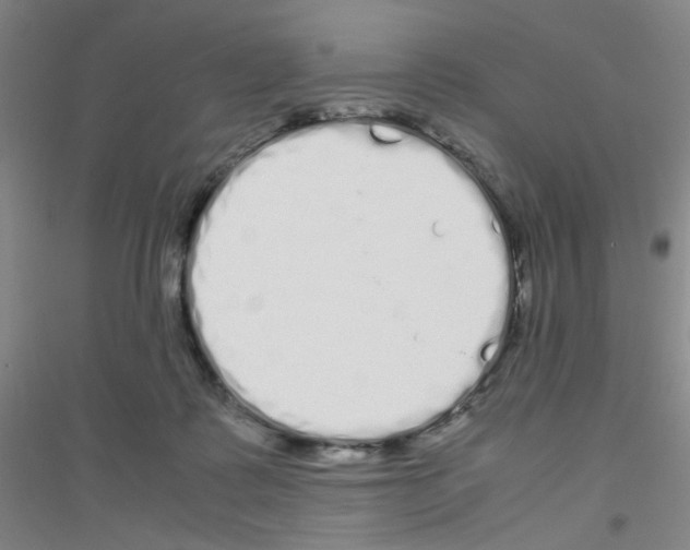 X0000116840315201001291710
