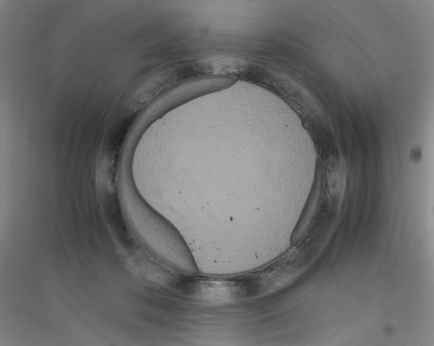 X0000116840316201001291710