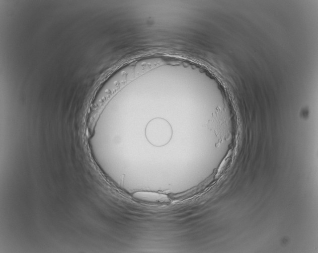 X0000116840317201001291710
