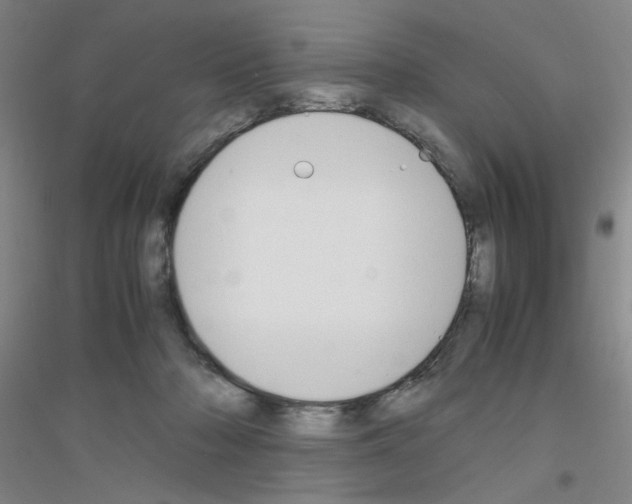 X0000116840318201001291710