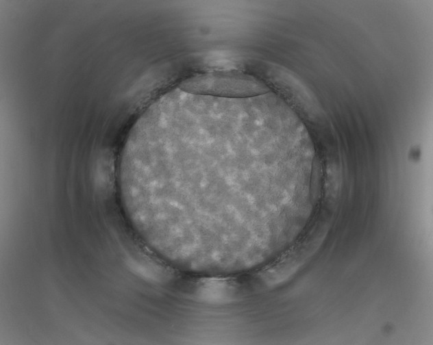 X0000116840320201001291710