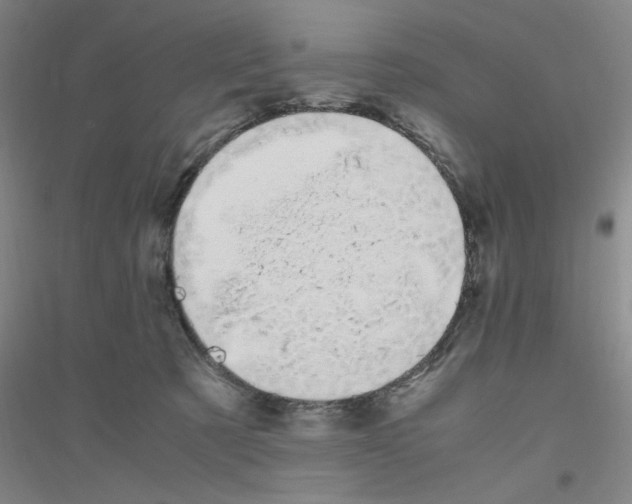 X0000116840321201001291710